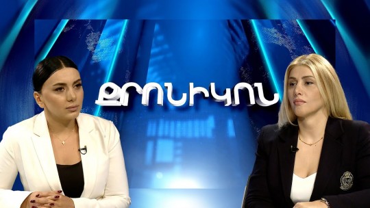 ՄԻԵԴ-ն արձանագրել է` Մարտի 1-ի գործով իշխանությունը պատշաճ տեղեկություններ չի տվել. Էլինար Վարդանյան