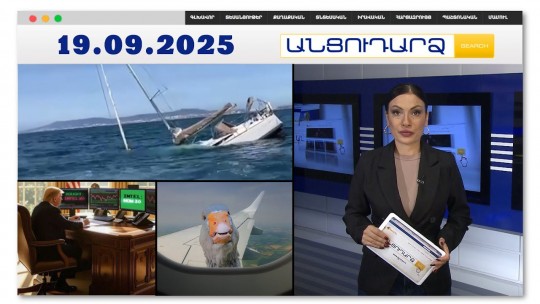 Կետերի հարձակման հետևանքով զբոսանավ է խորտակվել