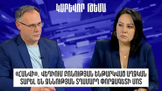 «Հանվի»․Վեդիում բռնության ենթարկված աղջկան տարել են զննության տղամարդ փորձագետի մոտ