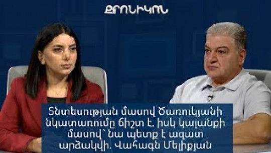 Տնտեսության մասով Ծառուկյանի նկատառումը ճիշտ է կալանքի մասով նա պետք է ազատ արձակվի. Վահագն Մելիքյան